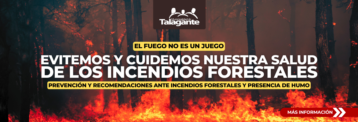 slider_incendiosforestales_2025